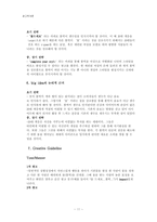 [광고학개론] volvic color water 광고기획서-11