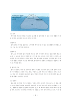 [임상심리] 프로이드일생과 이론적 배경 및 이론체계-13