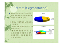 [광고전략] 싸이월드 광고전략-11