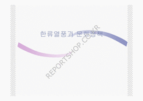 한류열풍과 문화정책-1