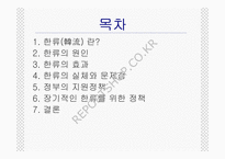 한류열풍과 문화정책-2