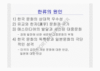 한류열풍과 문화정책-6