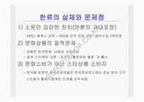 한류열풍과 문화정책-10