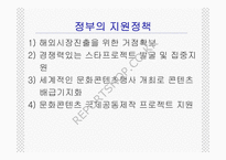 한류열풍과 문화정책-11