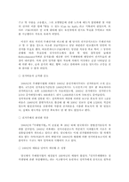 [비교정치분석] 17대총선선거법개정과 한국 선거문화의 선진화-9