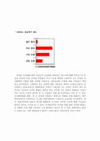 [비교정치분석] 17대총선선거법개정과 한국 선거문화의 선진화-17