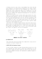 [외교정책론] 대외정책의 주요이론-13