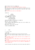 [경영정보시스템] ZARA의 경영정보 시스템 사례-2
