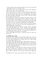 [글로벌전략] 하이네켄(HEINEKEN)의 글로벌 성공전략-4