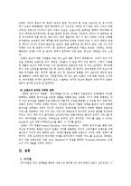 [글로벌전략] 하이네켄(HEINEKEN)의 글로벌 성공전략-5