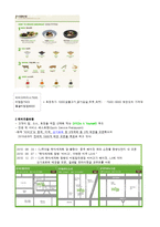 비빔밥 브랜드 비비고 사업분석 및 메뉴개발-5