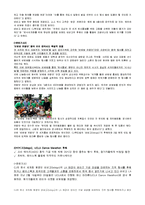 비빔밥 브랜드 비비고 사업분석 및 메뉴개발-9