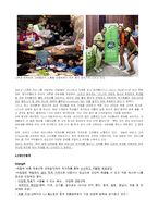 비빔밥 브랜드 비비고 사업분석 및 메뉴개발-10