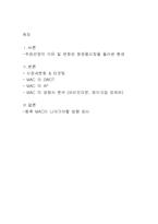 [마케팅관리] 색조 화장품 M.A.C 마케팅 사례-2