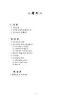 [국제경영](주)대상 미원의 인도네시아 진출 사례 분석-2