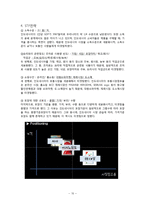 [국제경영](주)대상 미원의 인도네시아 진출 사례 분석-10