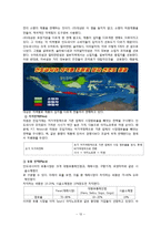 [국제경영](주)대상 미원의 인도네시아 진출 사례 분석-12