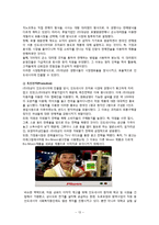 [국제경영](주)대상 미원의 인도네시아 진출 사례 분석-13