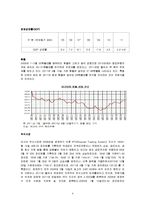 [해외투자론] 러시아의 투자유치전략 및 사례 조사-9