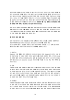 [해외투자론] 러시아의 투자유치전략 및 사례 조사-14