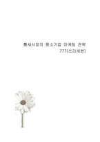 [마케팅전략] 틈새시장의 중소기업 마케팅 전략(쓰리세븐을 중심으로)-1