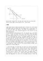 [국제금융론] 변동환율과 재화 가격의 결정의 균형 모델-8