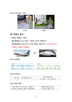 [항공사] AIR BUSAN(에어부산) 항공사 분석-11