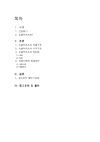[비즈니스커뮤니케이션] 소셜커머스(Social commerce)-2