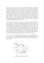 [재무행정] 성과주의 예산제도-14