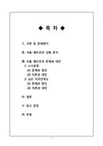 [조직행동론] 서울메트로의 조직행동 분석 및 문제점 해결 방안-1