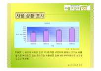 [광고기획론] 한방생리대 예지미인 광고 기획안-4