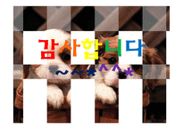 [스포츠마케팅] 비인기 종목과 인기종목의 마케팅 활용-18