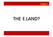 [글로벌경영] 이랜드(E·LAND)의 경영 사례 분석-5