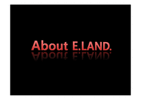 [글로벌경영] 이랜드(E·LAND)의 경영 사례 분석-6