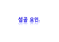 [글로벌경영] 이랜드(E·LAND)의 경영 사례 분석-14