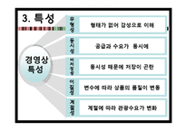 [전산실무] 여행기업과 국제회의 정보 시스템-7