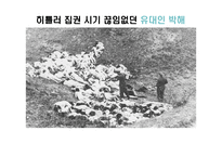 [리더십] 히틀러(Adolf Hitler)의 리더십 분석-14