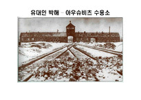 [리더십] 히틀러(Adolf Hitler)의 리더십 분석-16