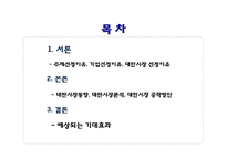 [글로벌리더십] 아모레 퍼시픽 신규 메이크업 브랜드의 대만시장 진출전략 방안-2
