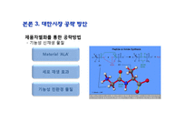 [글로벌리더십] 아모레 퍼시픽 신규 메이크업 브랜드의 대만시장 진출전략 방안-11