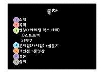 [스포츠마케팅] 비인기 종목과 인기 종목의 마케팅 활용-2