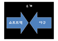 [스포츠마케팅] 비인기 종목과 인기 종목의 마케팅 활용-3