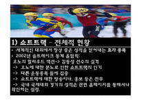 [스포츠마케팅] 비인기 종목과 인기 종목의 마케팅 활용-5