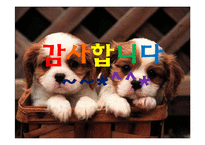 [스포츠마케팅] 비인기 종목과 인기 종목의 마케팅 활용-18