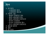[관광세미나] 쇼핑관광의 활성화 방안-2