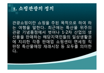 [관광세미나] 쇼핑관광의 활성화 방안-4
