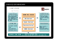 [생산관리] ERP 시스템(대웅제약의 ERP도입 사례)-17