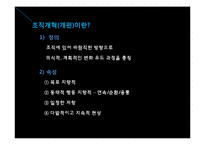 [행정조직론] 한국정부의 조직개혁과 나아갈 방향 제시-3