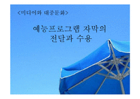 [미디어와대중문화] 예능프로그램 자막의 전달과 수용-1
