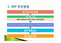 [경영혁신] 전사적 자원관리-12